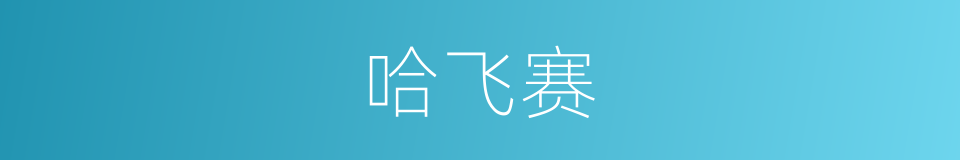 哈飞赛的同义词