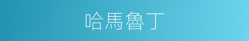 哈馬魯丁的同義詞