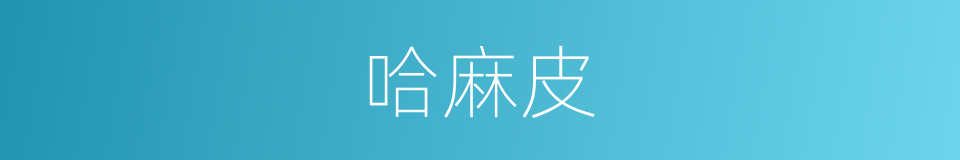 哈麻皮的意思
