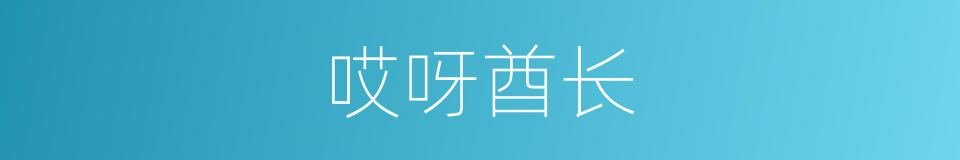 哎呀酋长的同义词