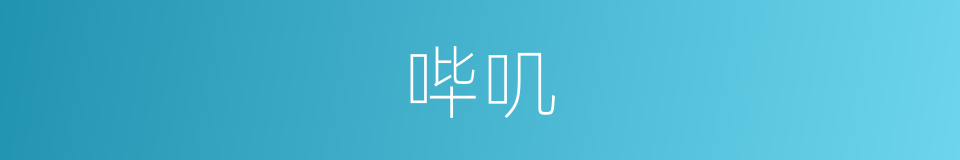 哔叽的意思