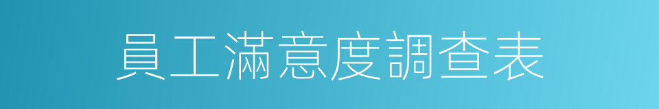 員工滿意度調查表的同義詞