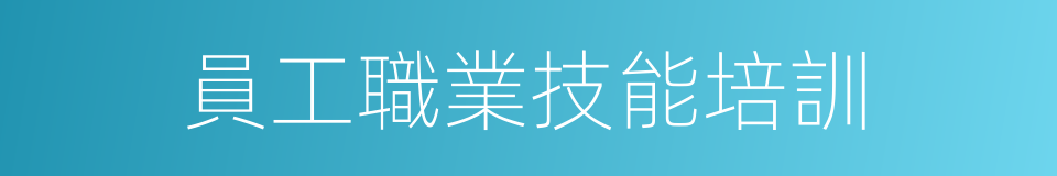 員工職業技能培訓的同義詞