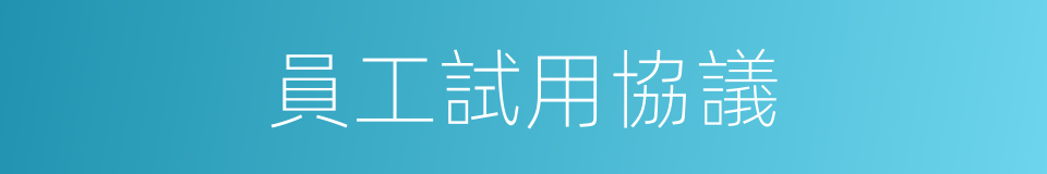 員工試用協議的同義詞