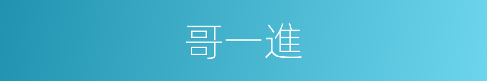 哥一進的同義詞