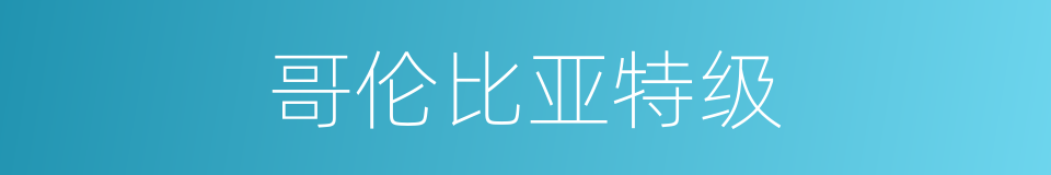 哥伦比亚特级的同义词