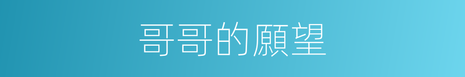 哥哥的願望的同義詞