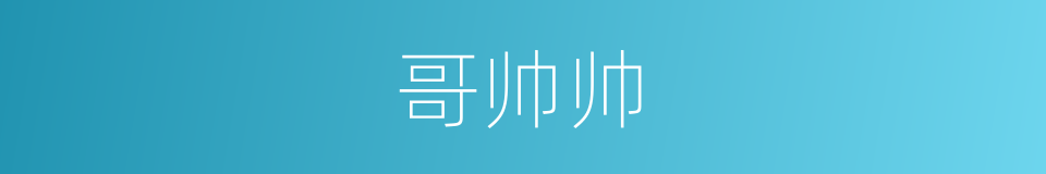 哥帅帅的同义词