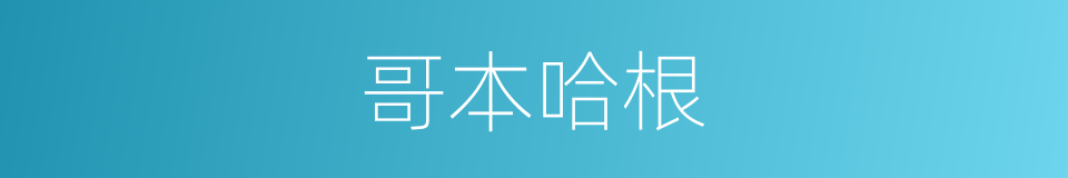 哥本哈根的意思