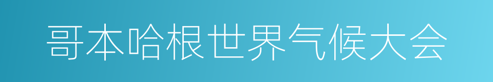 哥本哈根世界气候大会的同义词