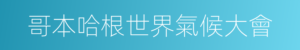 哥本哈根世界氣候大會的同義詞