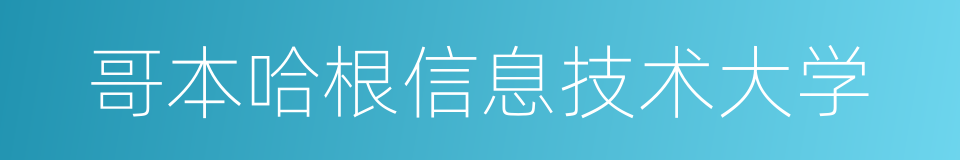 哥本哈根信息技术大学的同义词