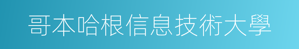 哥本哈根信息技術大學的同義詞