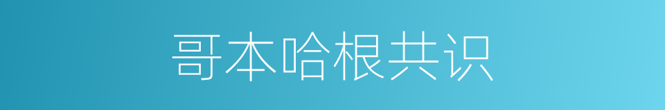 哥本哈根共识的同义词