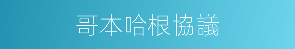 哥本哈根協議的同義詞