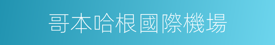 哥本哈根國際機場的同義詞