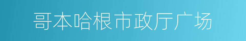 哥本哈根市政厅广场的同义词