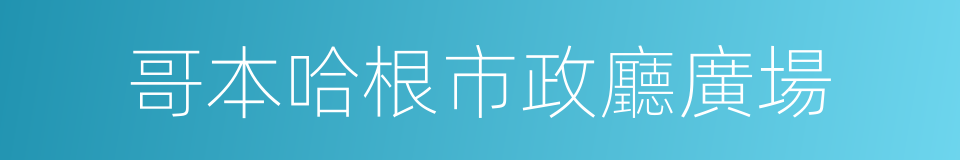 哥本哈根市政廳廣場的同義詞