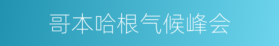 哥本哈根气候峰会的同义词