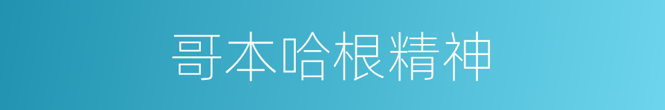 哥本哈根精神的同义词