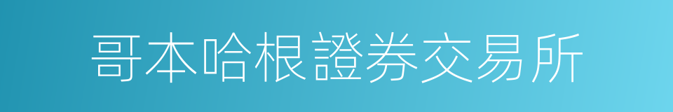 哥本哈根證券交易所的同義詞