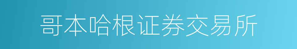 哥本哈根证券交易所的意思