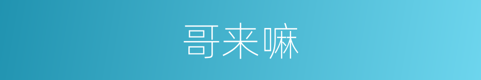 哥来嘛的同义词