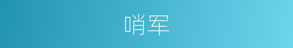 哨军的意思