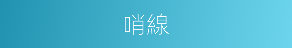 哨線的意思