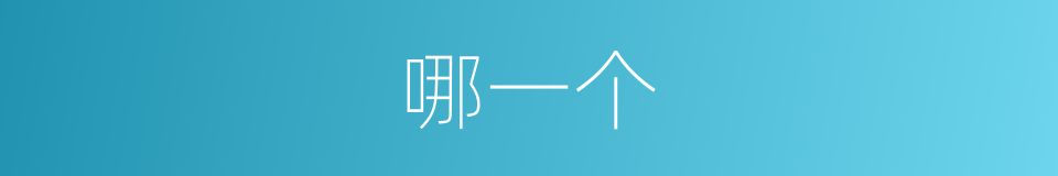 哪一个的同义词