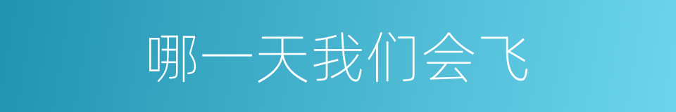 哪一天我们会飞的同义词