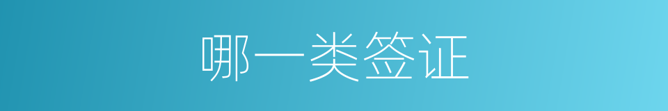 哪一类签证的同义词