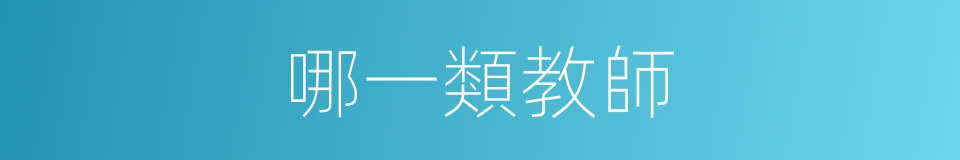 哪一類教師的同義詞