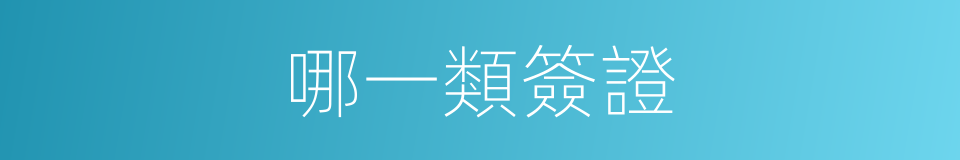 哪一類簽證的同義詞