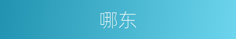 哪东的意思