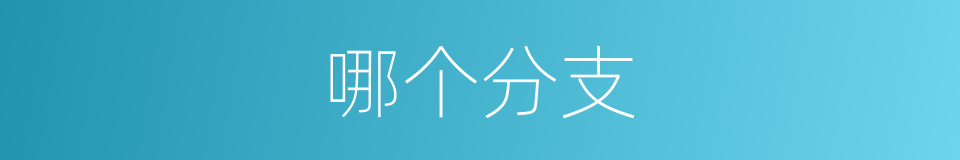 哪个分支的意思