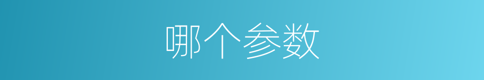 哪个参数的意思