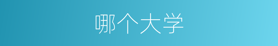 哪个大学的意思