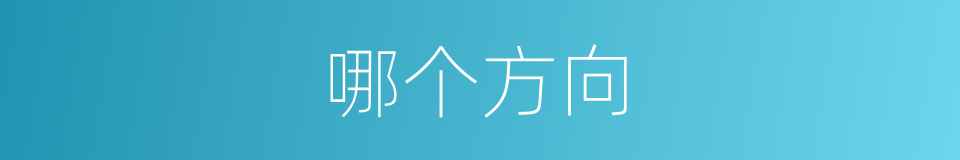 哪个方向的意思