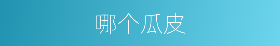 哪个瓜皮的意思