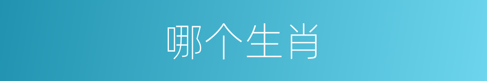 哪个生肖的意思