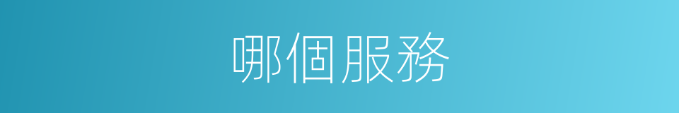 哪個服務的意思
