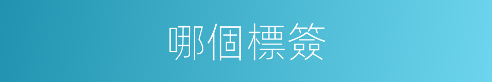 哪個標簽的意思