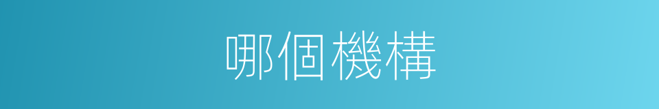 哪個機構的意思