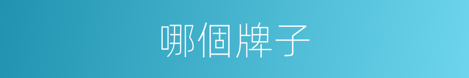 哪個牌子的意思