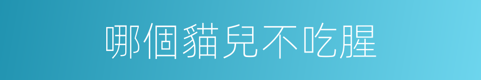 哪個貓兒不吃腥的同義詞