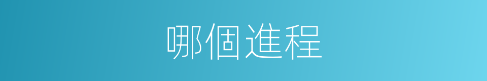 哪個進程的意思