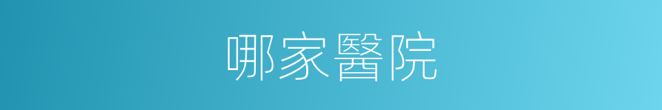 哪家醫院的同義詞