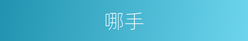 哪手的意思
