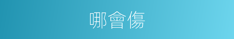 哪會傷的同義詞